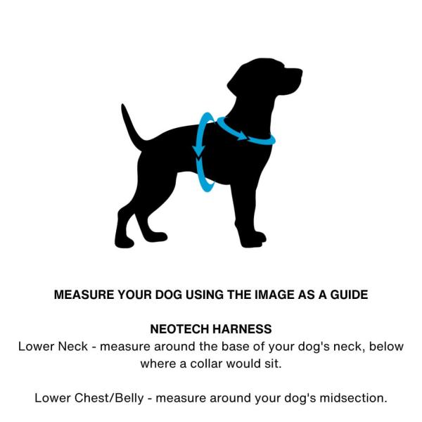 DOOG Neotech Harness Black Gr. M